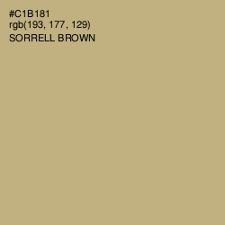 #C1B181 - Sorrell Brown Color Image